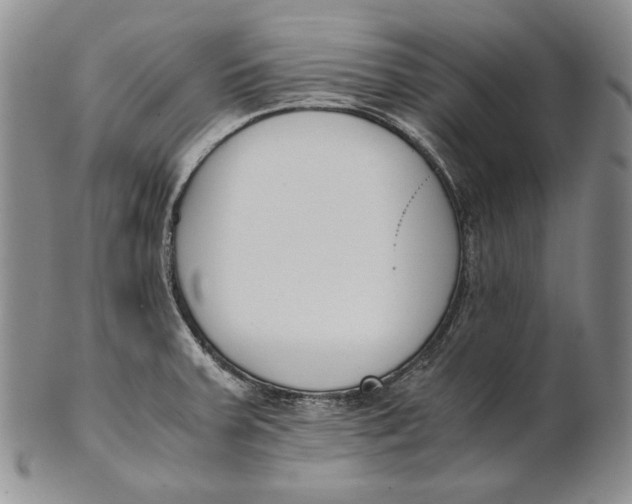 X0000100771379200807101741