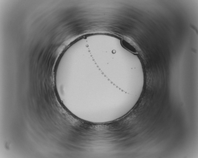 X0000100771380200807101741