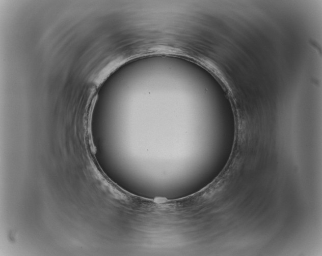 X0000100771381200807101741