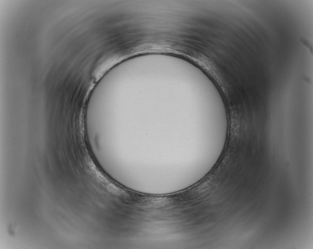 X0000100771382200807101741