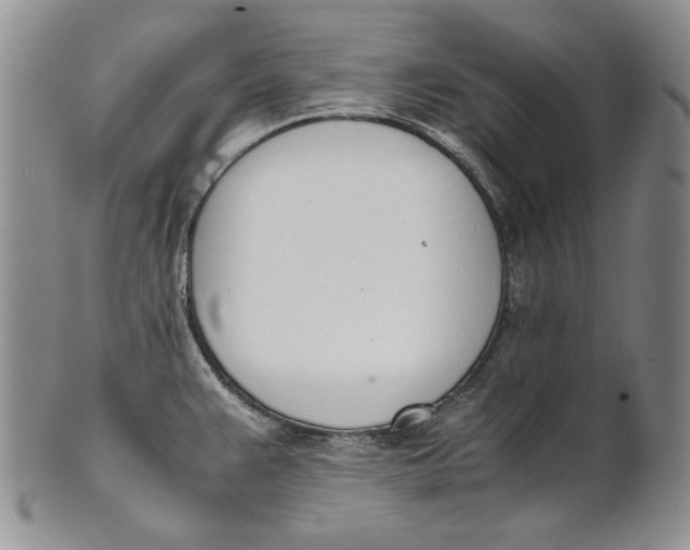 X0000100771383200807101741