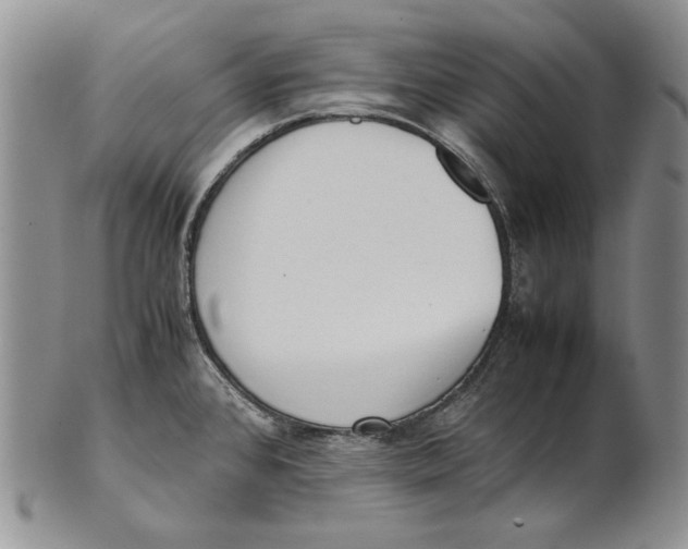 X0000100771384200807101741
