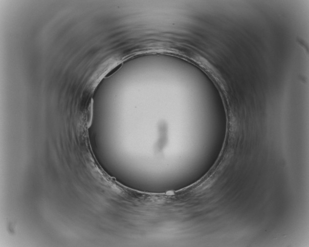 X0000100771385200807101741