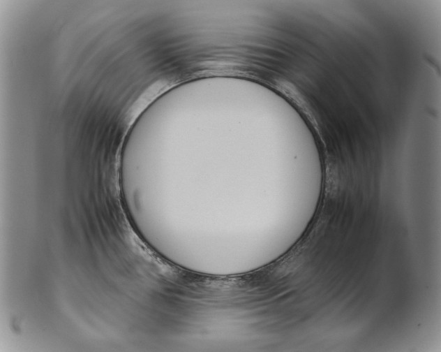 X0000100771386200807101741