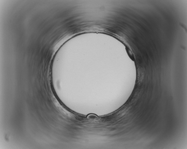 X0000100771387200807101741