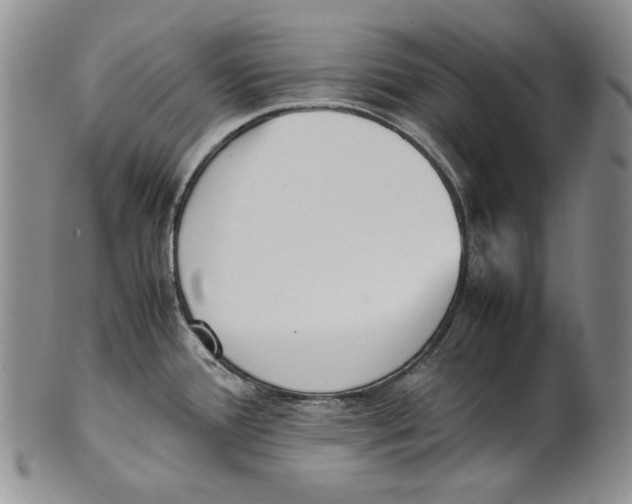 X0000100771388200807101741
