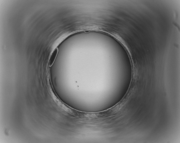 X0000100771389200807101741