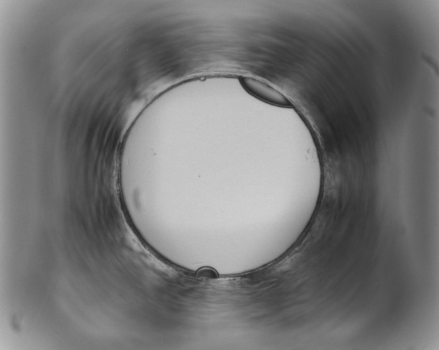X0000100771390200807101741