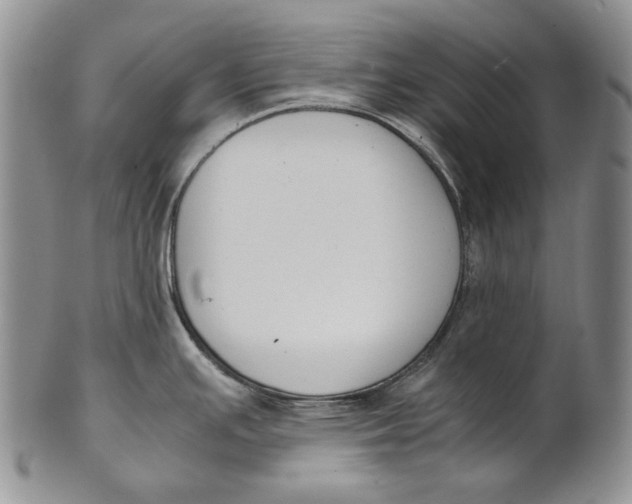 X0000100771391200807101741