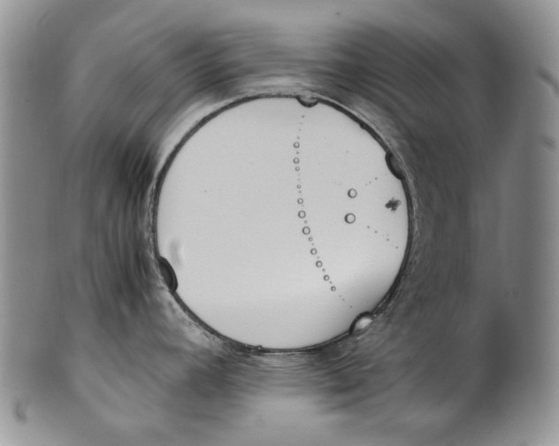 X0000100771392200807101741