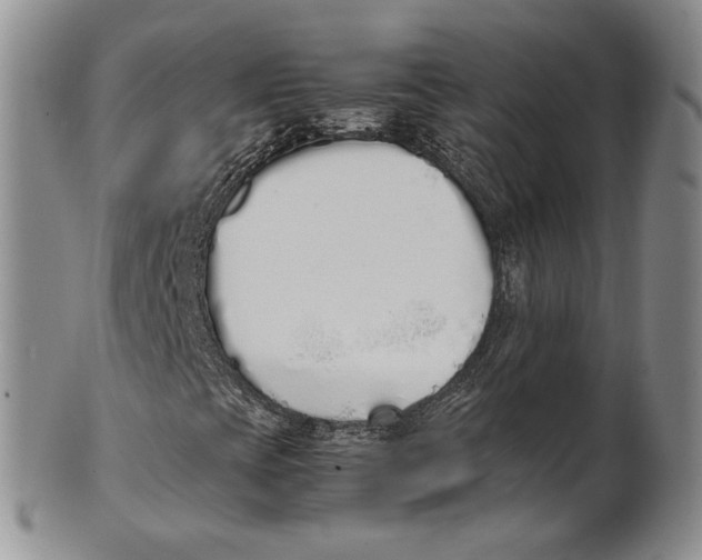 X0000100771393200807101740