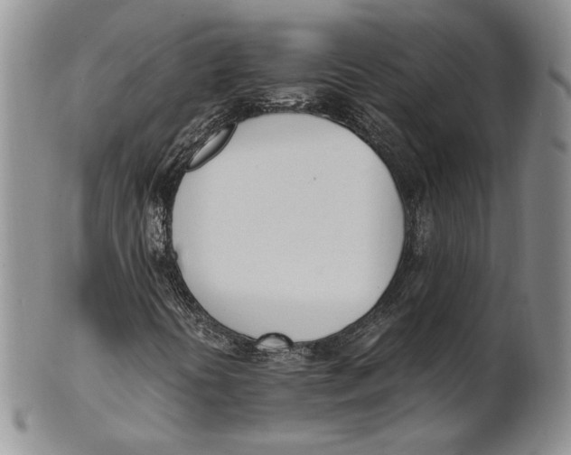 X0000100771394200807101740