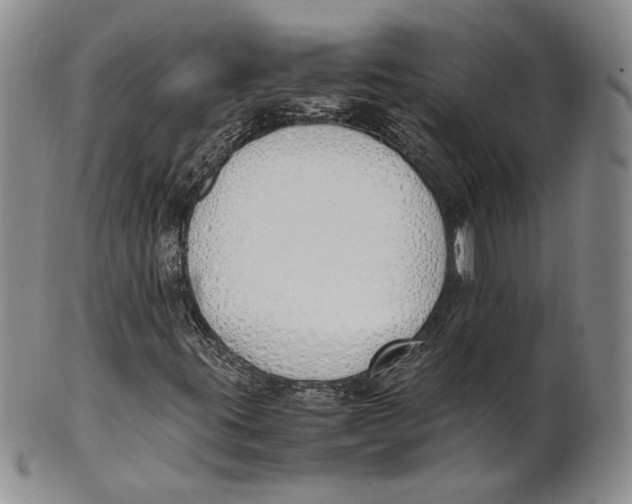 X0000100771395200807101740