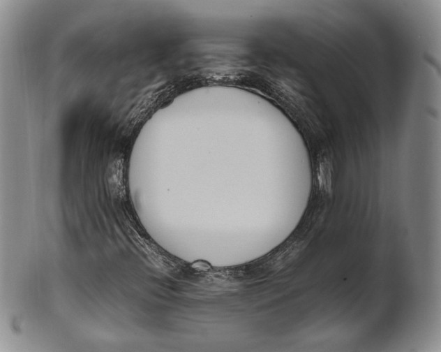 X0000100771396200807101740