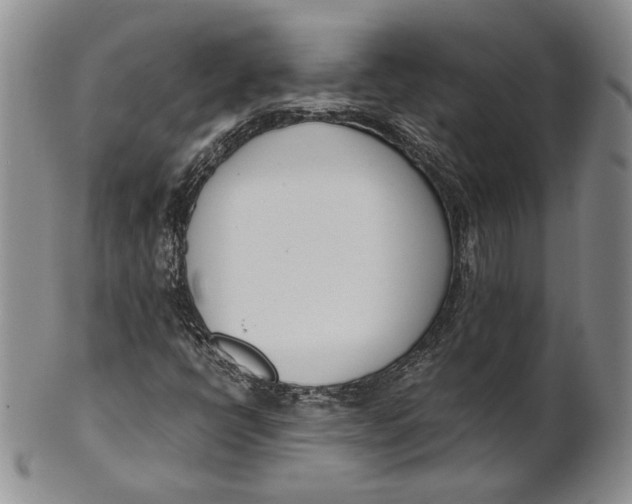 X0000100771398200807101740
