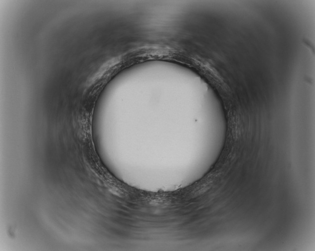 X0000100771399200807101740