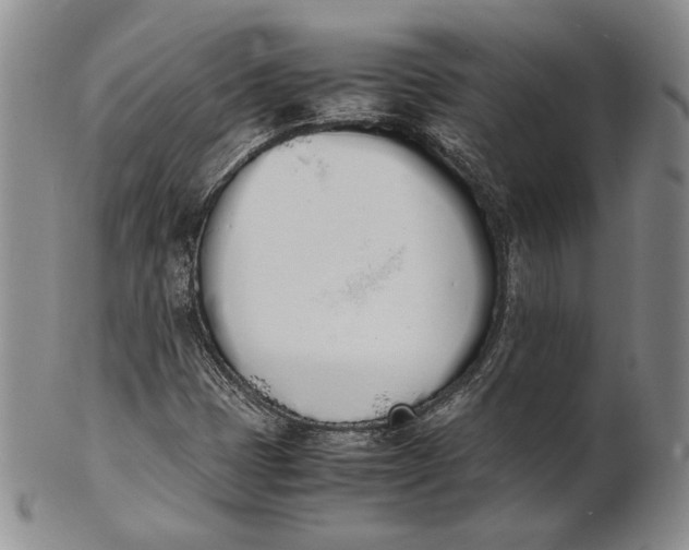 X0000100771401200807101740