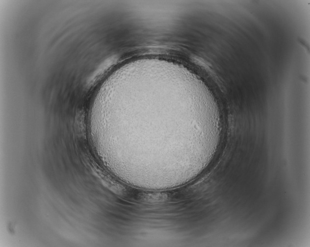 X0000100771403200807101740