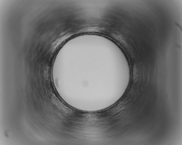 X0000100771404200807101740