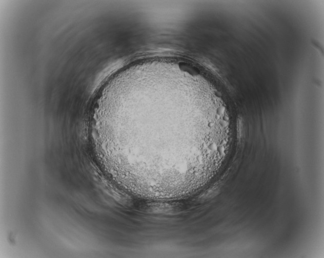 X0000100771405200807101740