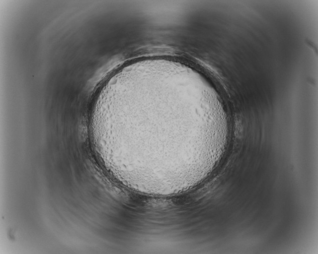 X0000100771407200807101740