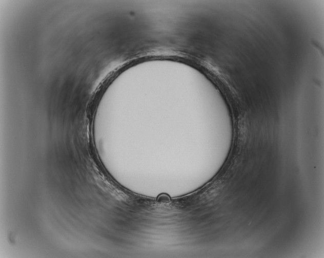 X0000100771408200807101740