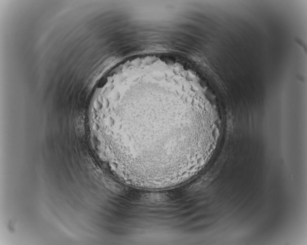 X0000100771409200807101740