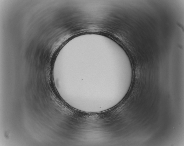 X0000100771410200807101740