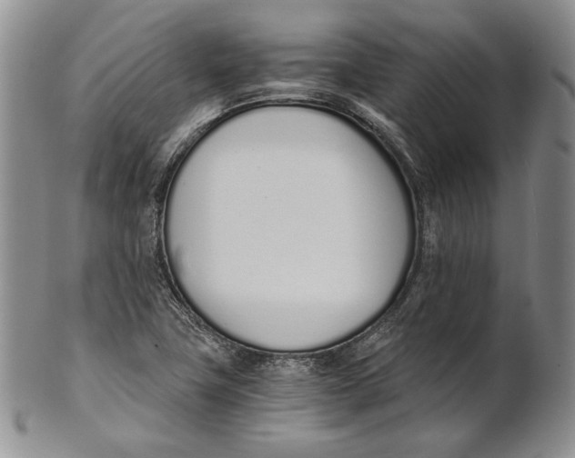 X0000100771411200807101740