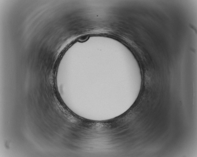 X0000100771412200807101740