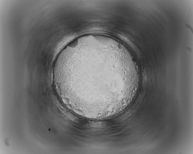 X0000100771413200807101740