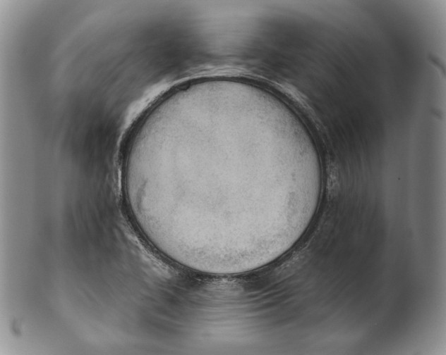 X0000100771414200807101740