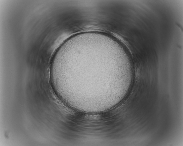 X0000100771415200807101740