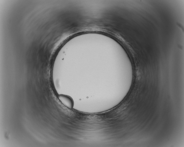 X0000100771416200807101740