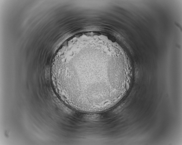 X0000100771417200807101740