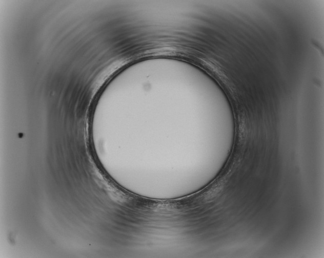 X0000100771418200807101740