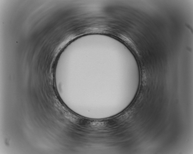X0000100771419200807101740