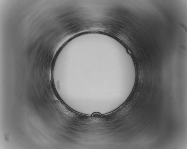 X0000100771420200807101740