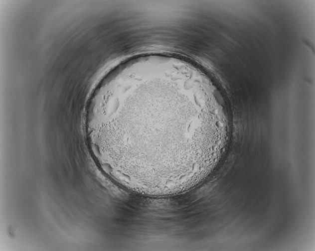 X0000100771421200807101740