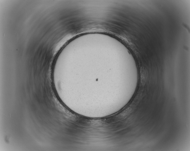 X0000100771422200807101740