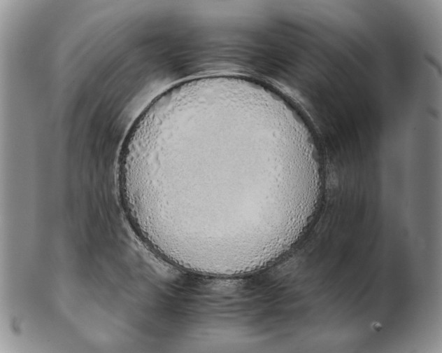 X0000100771423200807101741