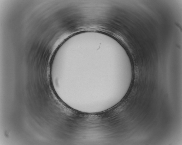 X0000100771424200807101741