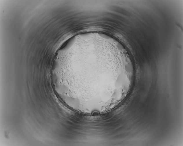 X0000100771425200807101741