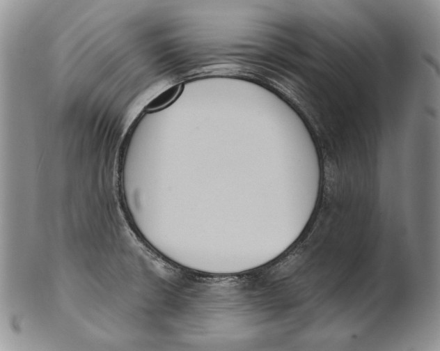 X0000100771426200807101741
