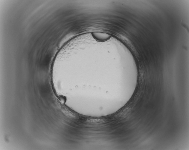 X0000100771427200807101741