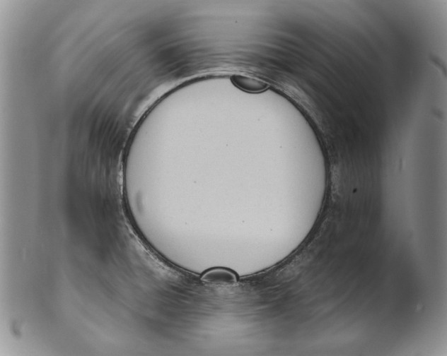 X0000100771428200807101741