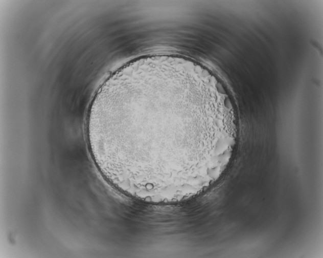 X0000100771429200807101741