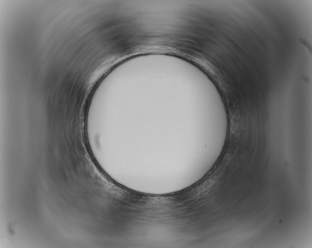 X0000100771430200807101741