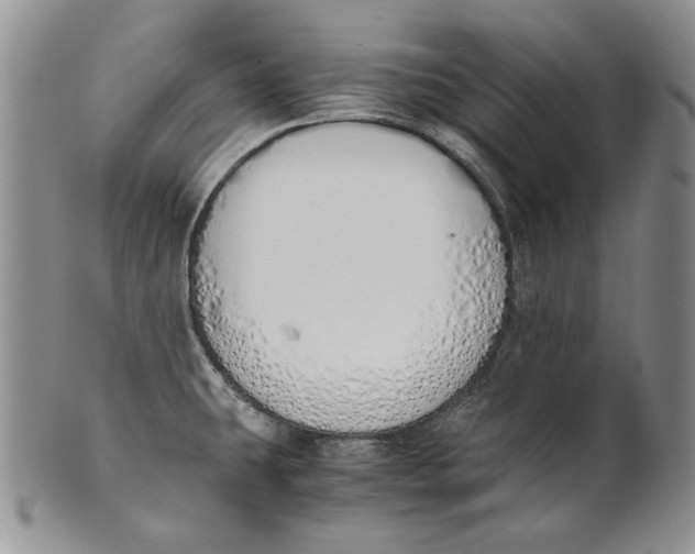 X0000100771431200807101741