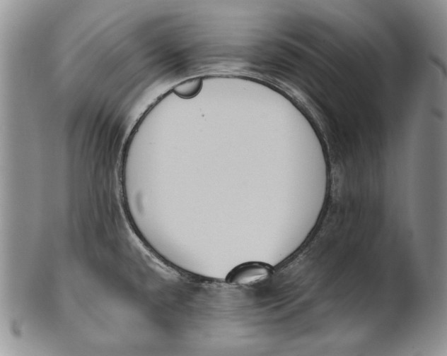 X0000100771432200807101741